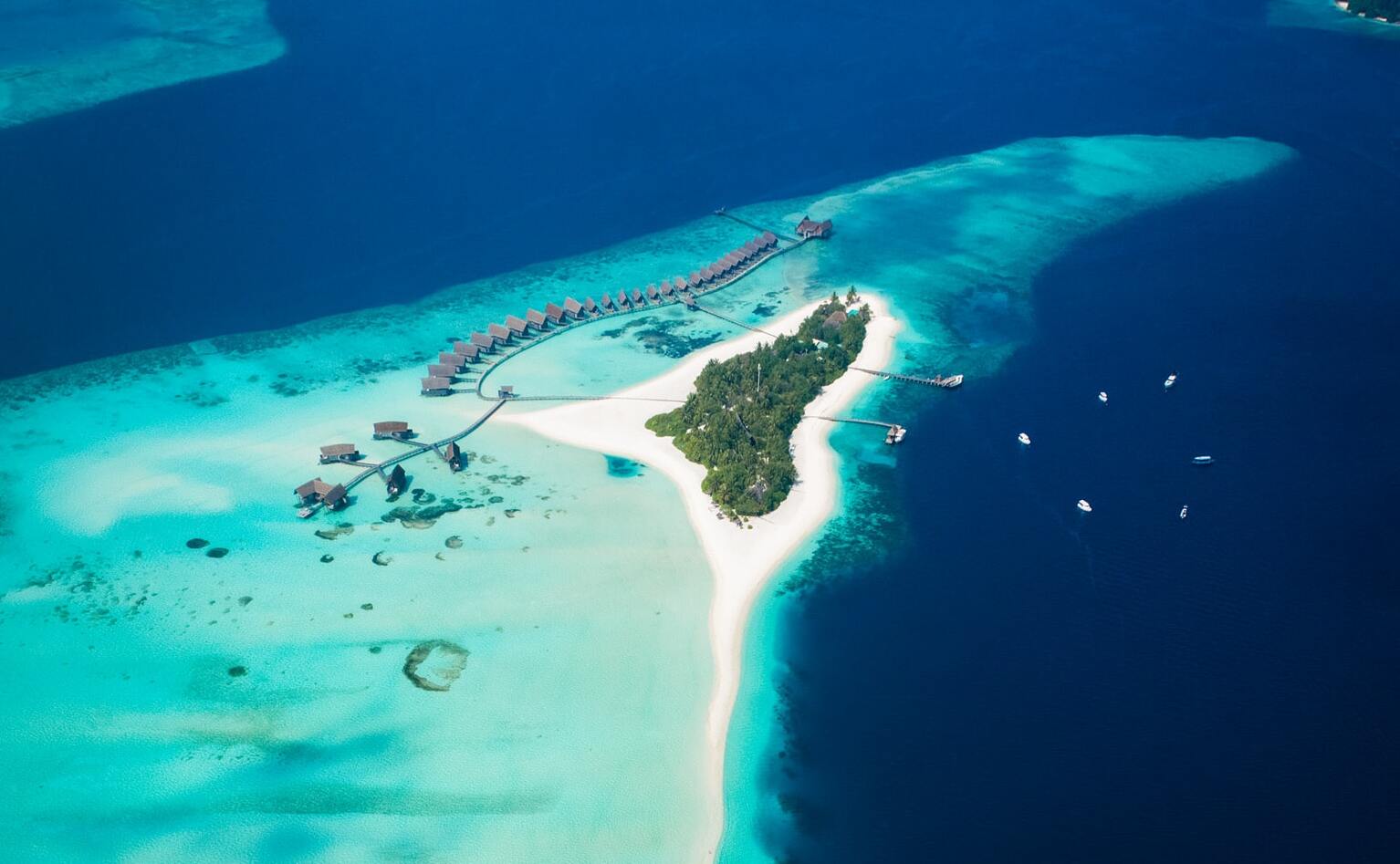 The Maldives from unsplash